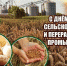 Спасибо всем работникам агропромышленного комплекса за добросовестный труд - Газета Всходы